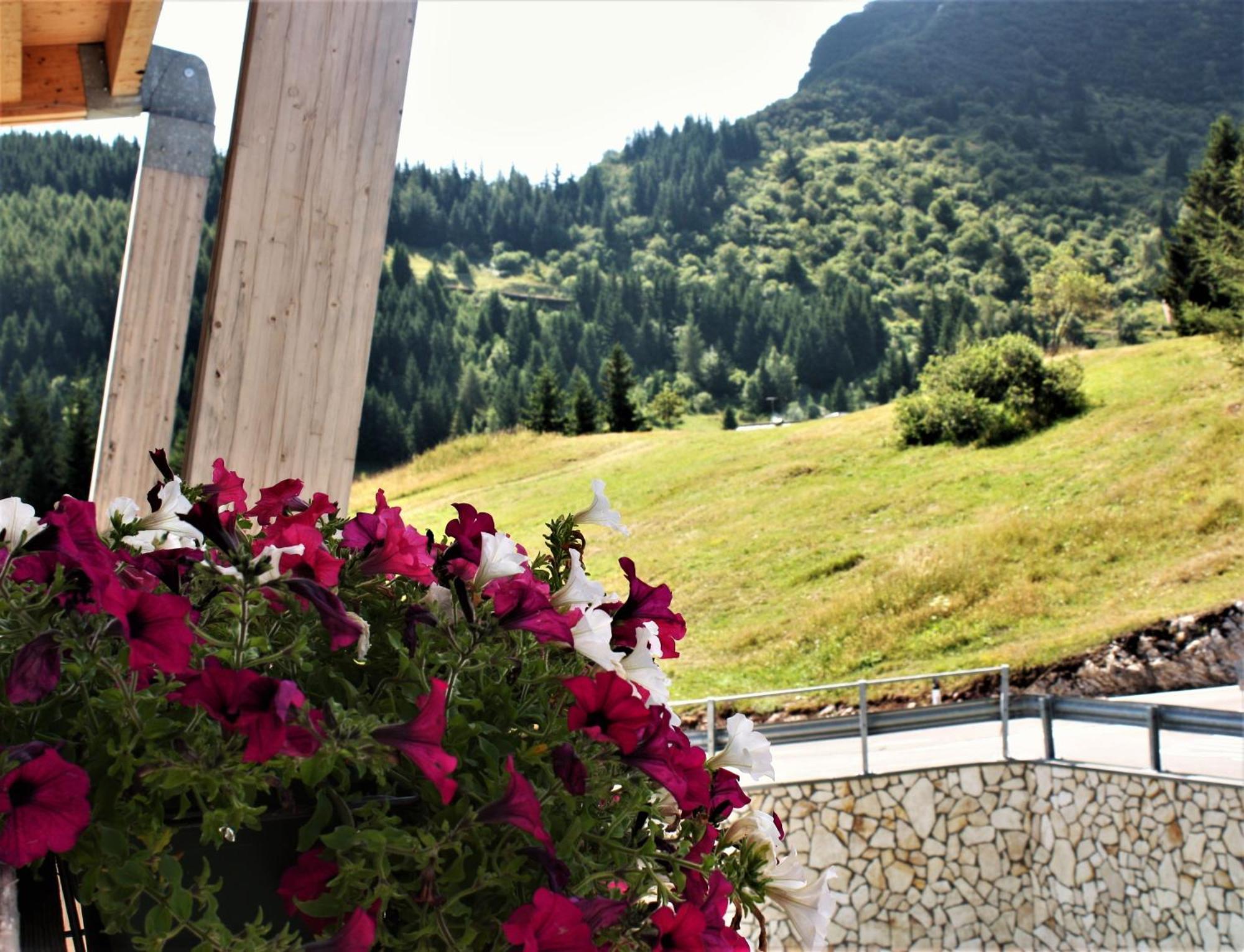 Brenta Dolomites Hotel Vason Bagian luar foto