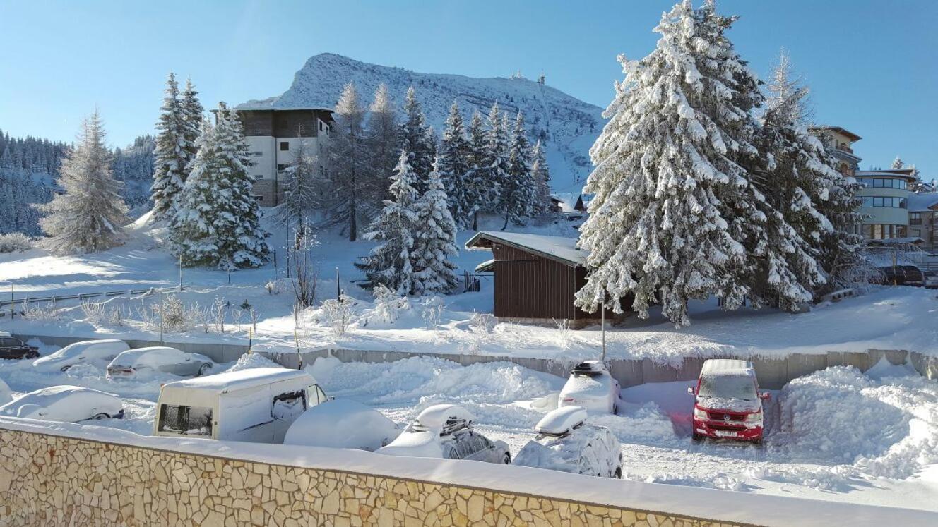 Brenta Dolomites Hotel Vason Bagian luar foto